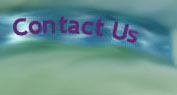 This is the contact us page